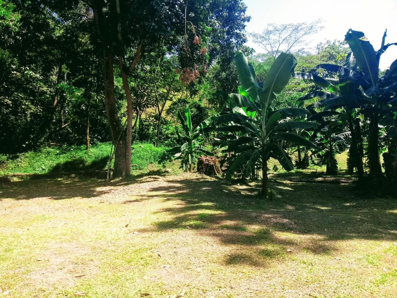 Hotel Playa By Marbar Hoteles Villeta Luaran gambar
